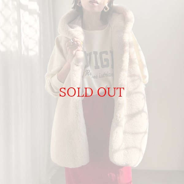 画像1: ●SALE●内側にもファーであったか【liveご紹介アイテム】hoodie fur vest (1)